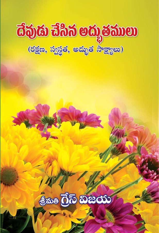 Cover of Devudu Chesina Adbuthamulu