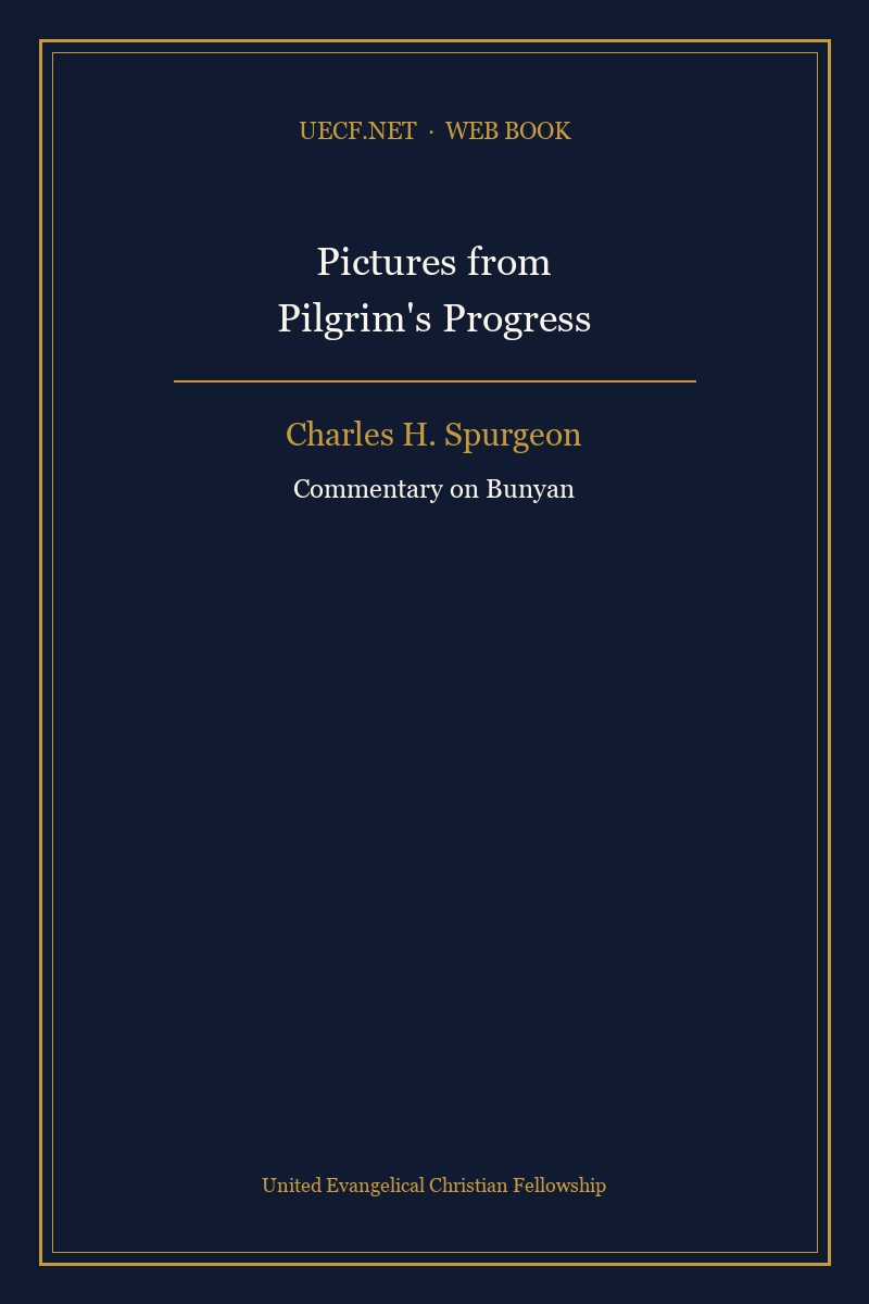 Cover of Pictures from Pilgrim's Progress