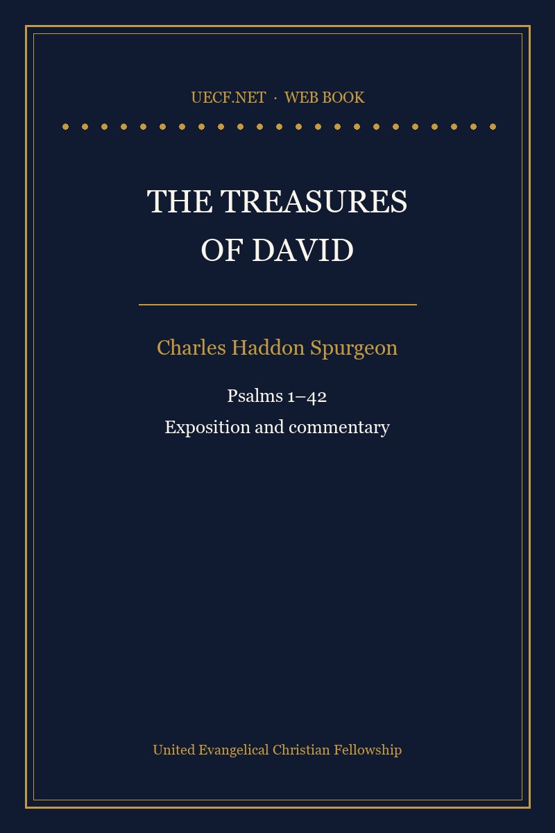 Cover of The Treasures of David