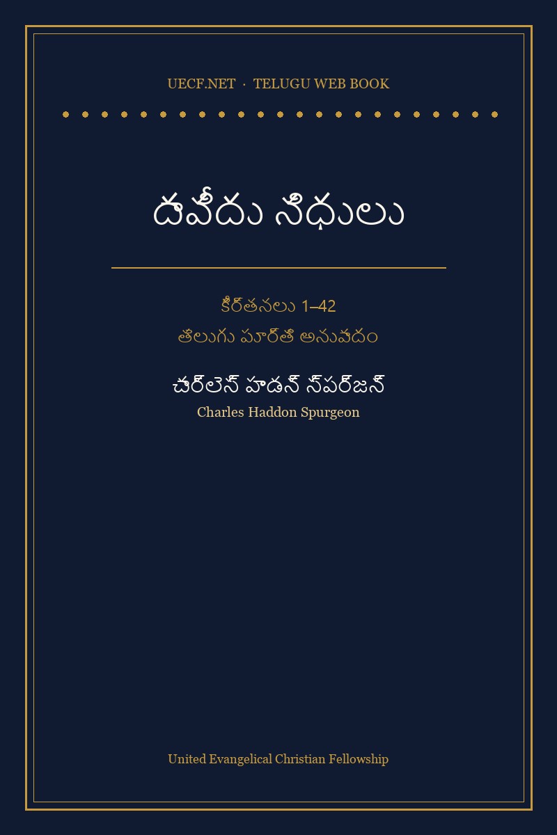 Cover of దావీదు నిధులు